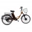 Электровелосипед трехколесный взрослый FURENDO E-TRIKE 350 миниатюра 